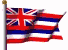 Hawaii Flag