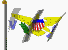 US Virgin Islands Flag