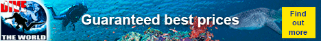 Visit Dive The World - the No. 1 online authority on dive travel